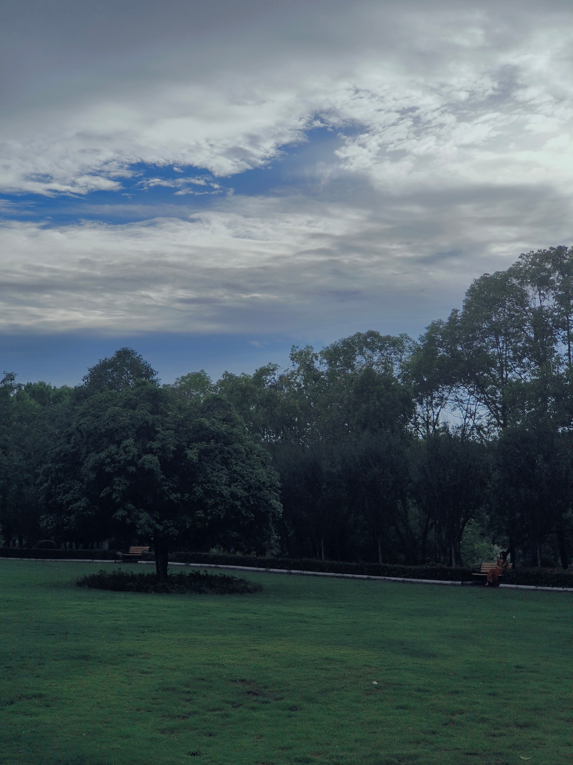 Source image for Solitary Figure on Park Bench Under Dramatic Cloudy Sky