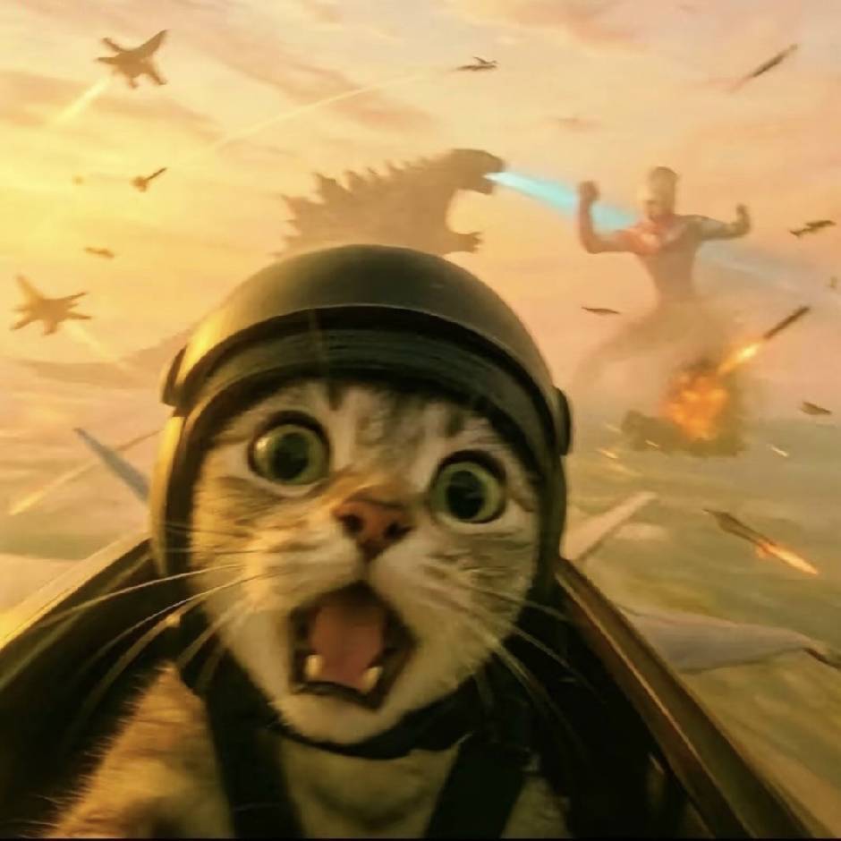 Source image for Panic Pilot Cat Screaming During Giant Monster Battle Sky