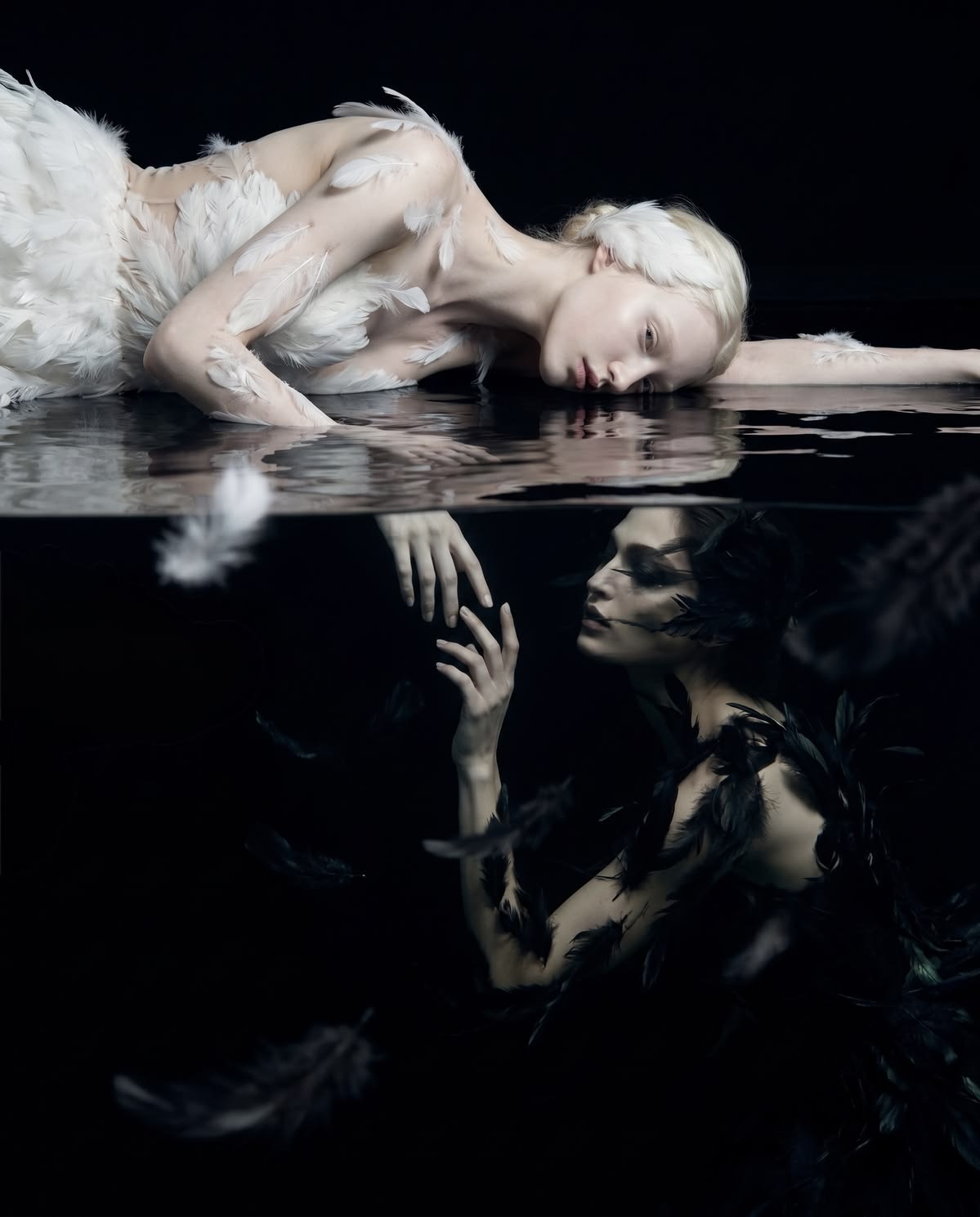 Source image for White Swan Meets Dark Reflection in Surreal Water Split Screen