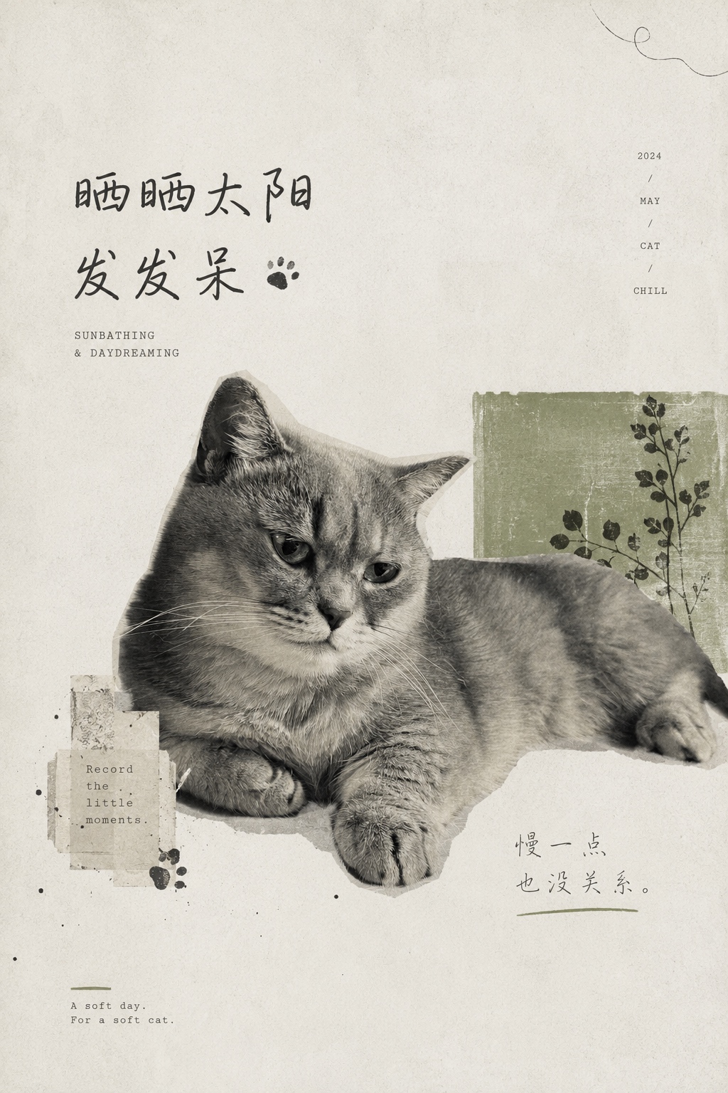 Source image for Daydreaming Cat Poster Comes to Life with Slow Blink
