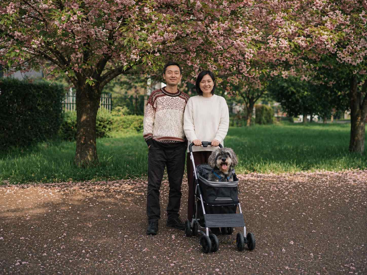 Source image for Couple Posing Under Cherry Blossoms with Dog in Stroller