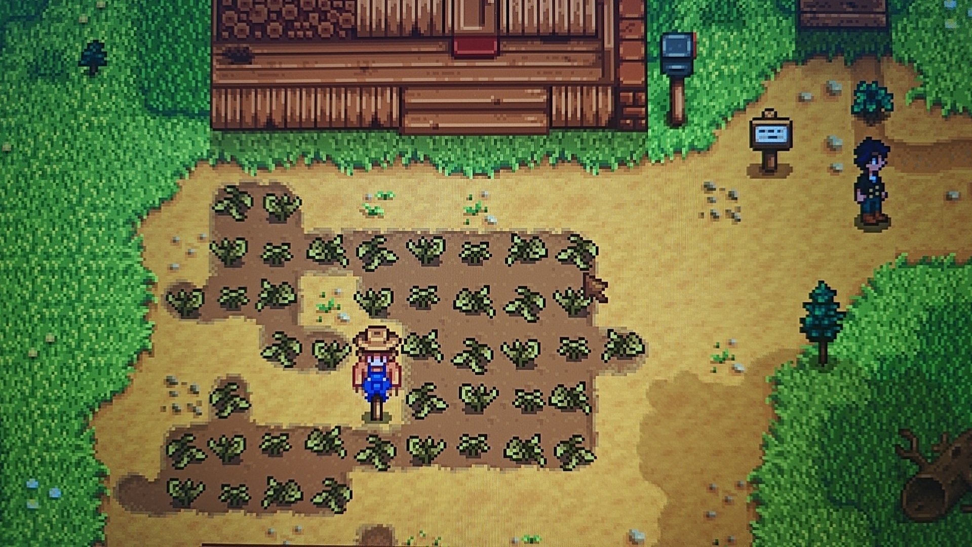 Source image for Pixel Art Farmer Reacts to Neighbor Watching the Garden