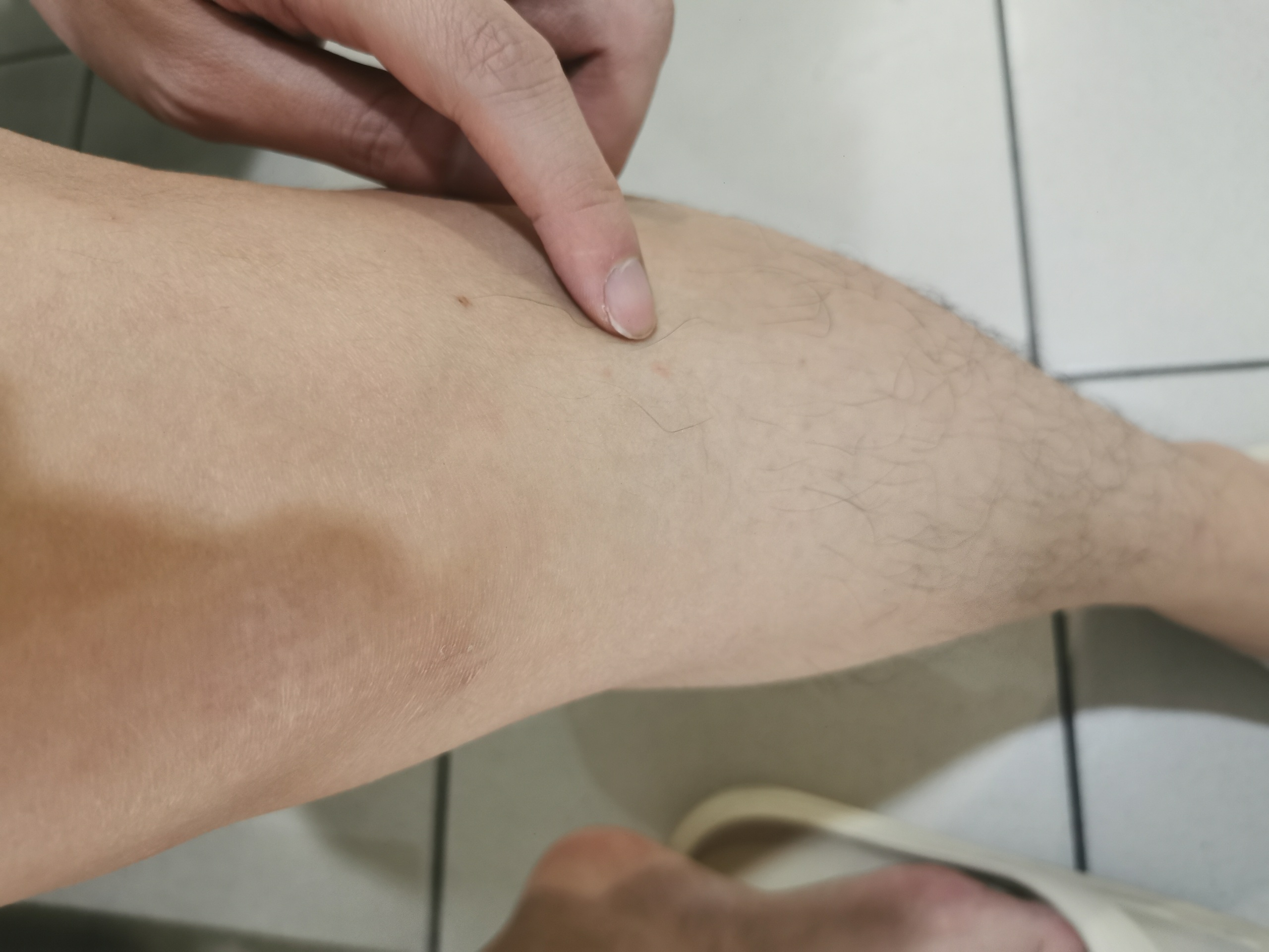 Source image for Zoom Out Reveal Giant Leg from Bathroom Tile Floor