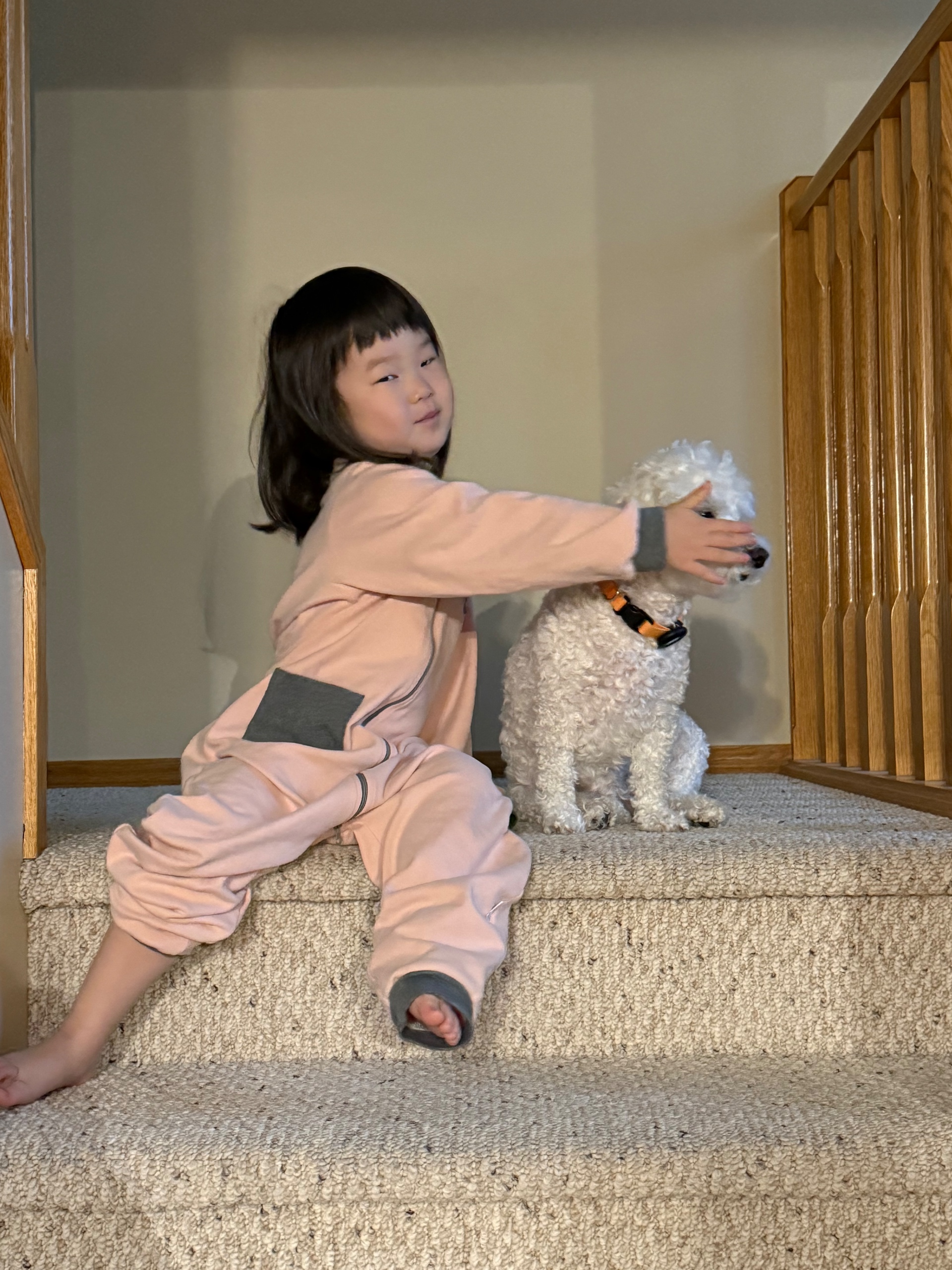 Source image for Toddler Covers Dog's Eyes on Carpeted Stairs for Comedic Effect