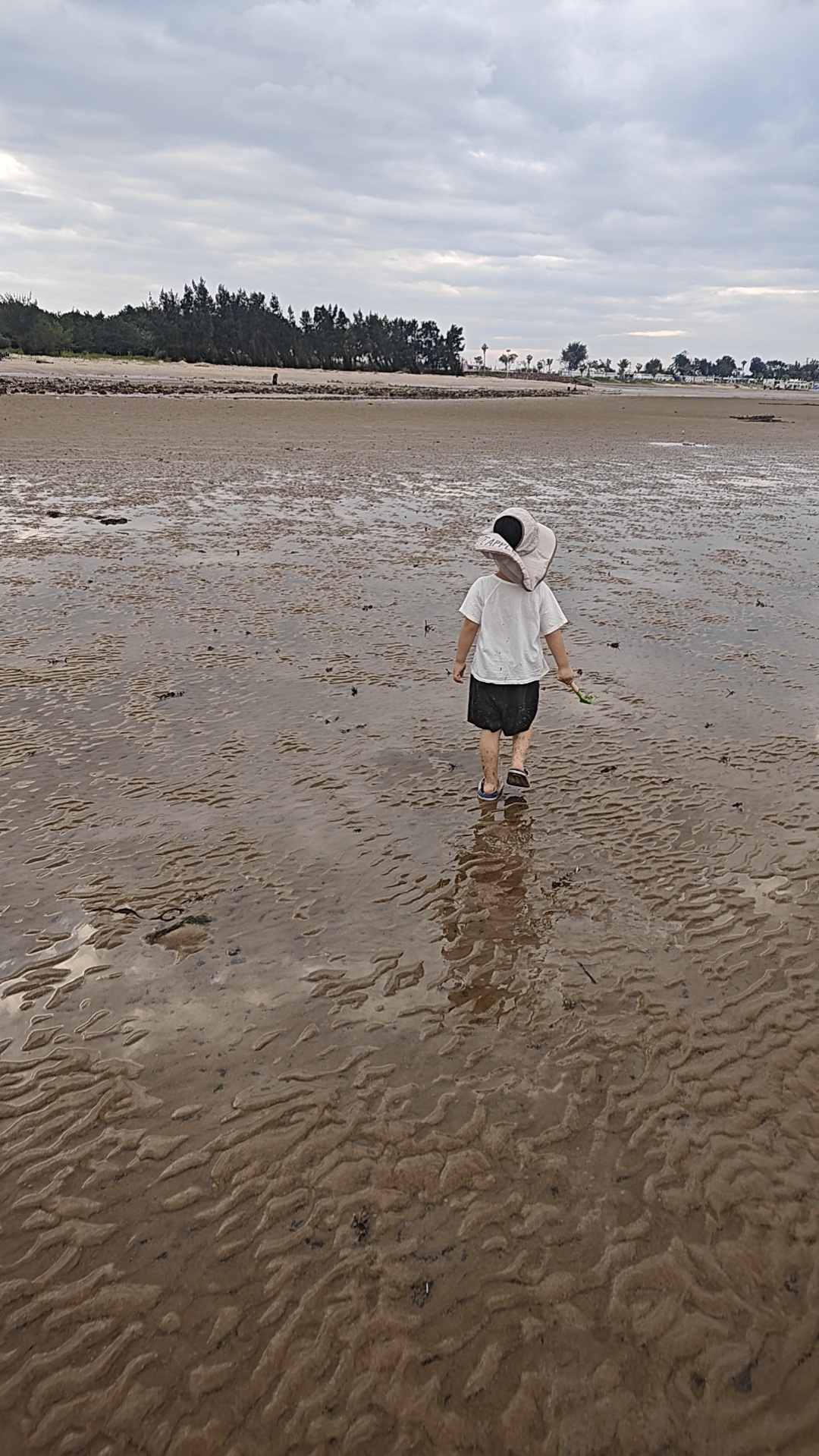 Source image for Toddler Struggles Through Sticky Mud on Tidal Flat