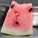 Source image for Bitten Watermelon Slice Reacting in Shock
