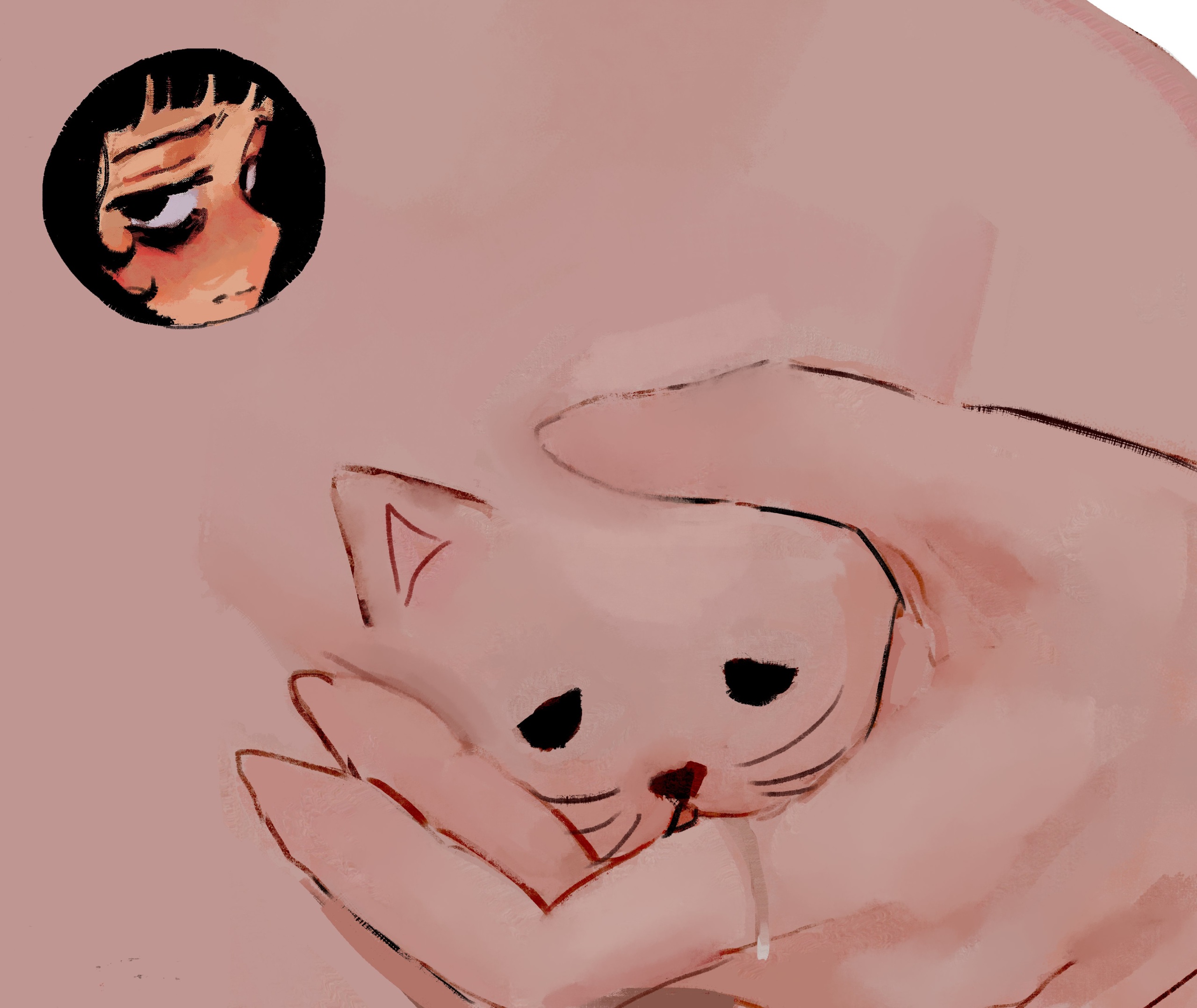 Source image for Sleepy Cat Drooling While Held in Pink Hands