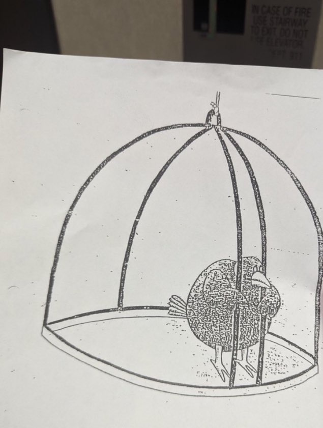 Source image for Grumpy Bird Trapped Inside Sketch Cage Illustration