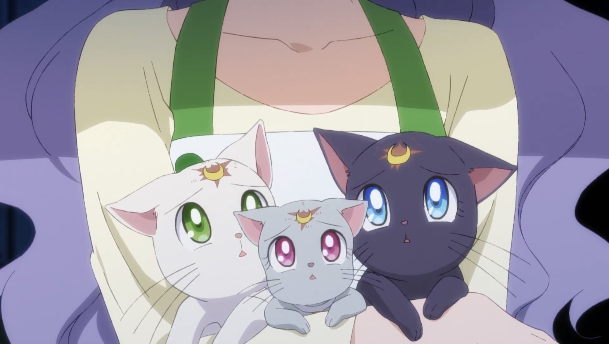 Source image for Three Anime Cats React with Shocked Faces in Arms