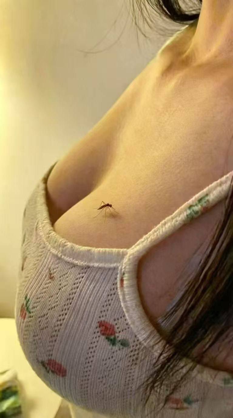 Source image for Mosquito Landing Triggers Instant Flinch Reaction on Floral Top