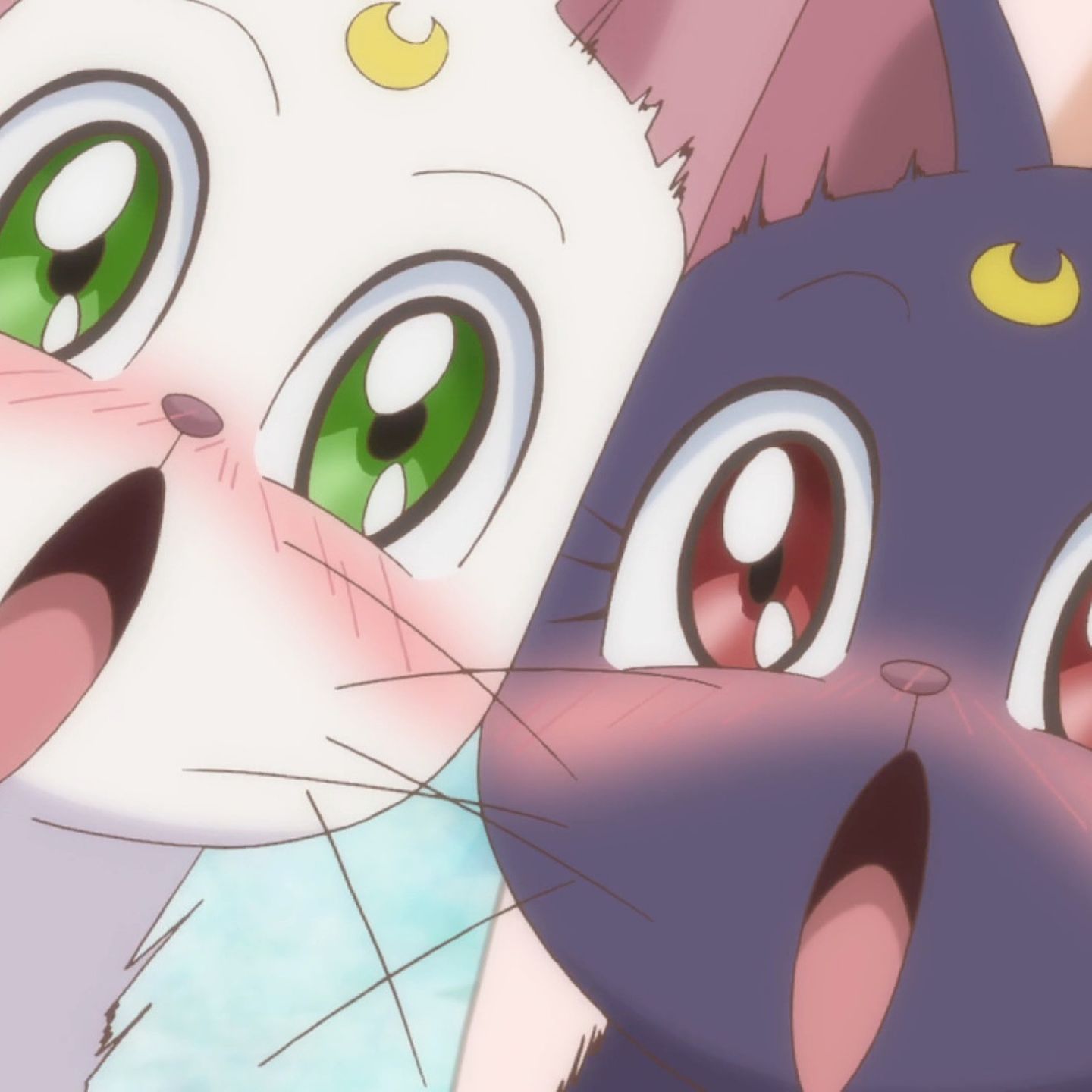 Source image for Exaggerated Anime Cat Faces Blushing and Screaming in Extreme Close Up