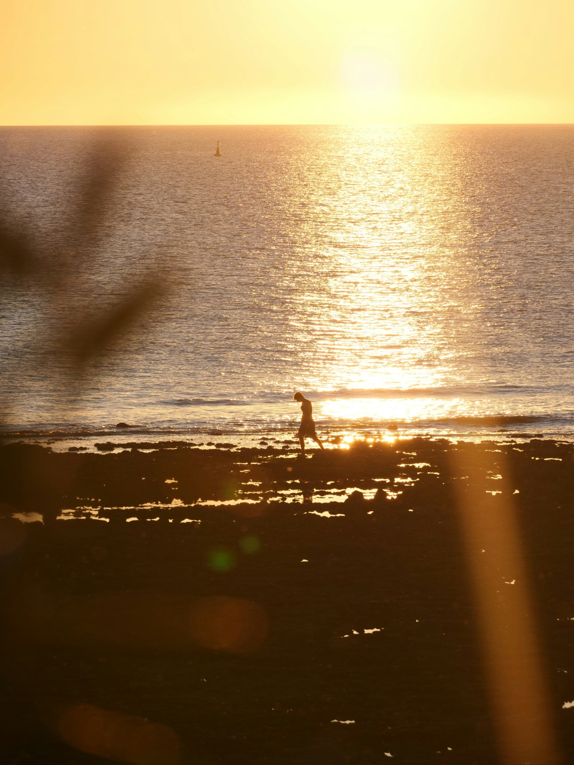 Source image for Silhouette Walker Stumbles Through Golden Sunset Reflections
