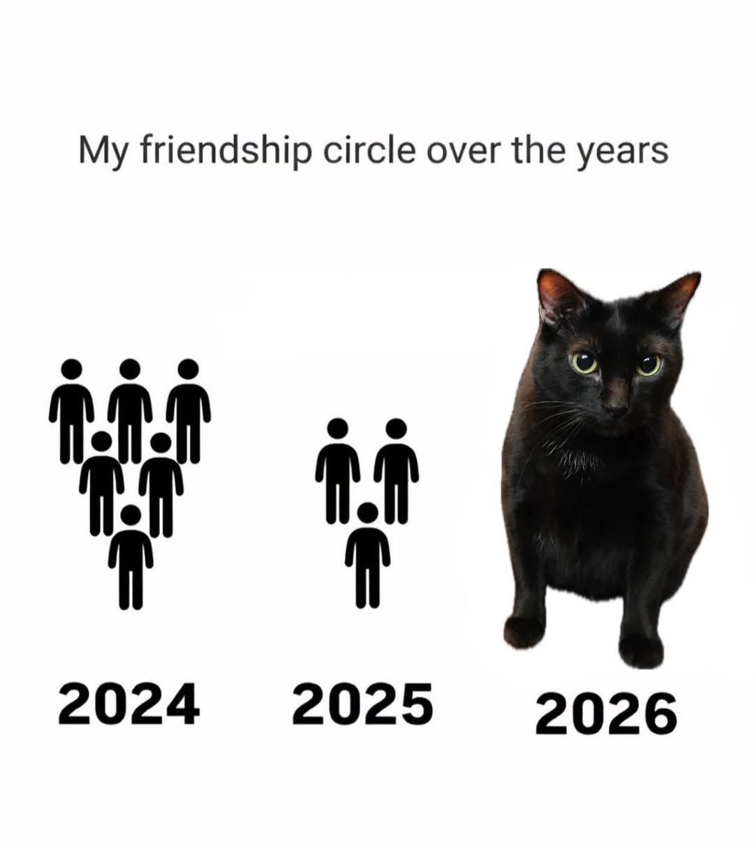Source image for Shrinking Friendship Circle Evolves Into Black Cat by 2026