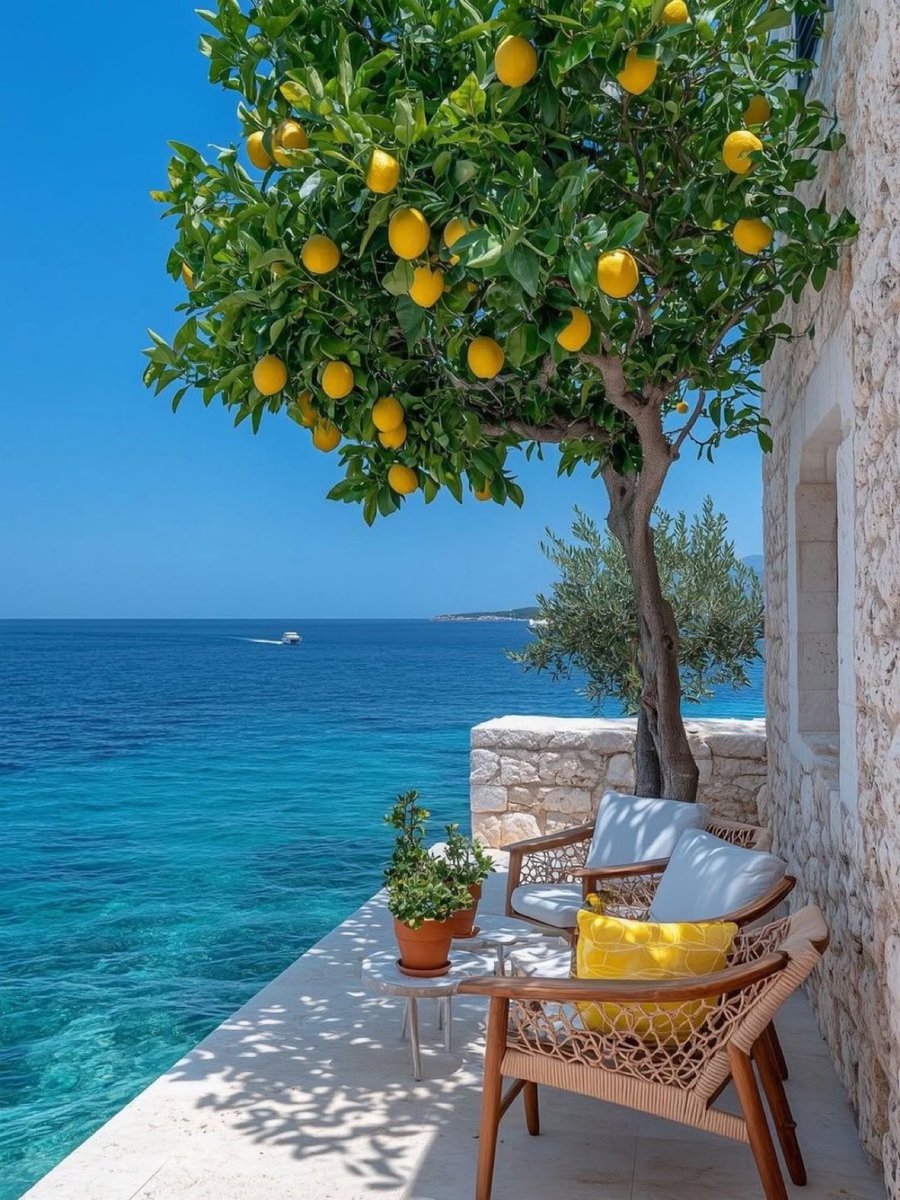 Source image for Breezy Mediterranean Terrace Lemon Tree Swaying Over Turquoise Sea