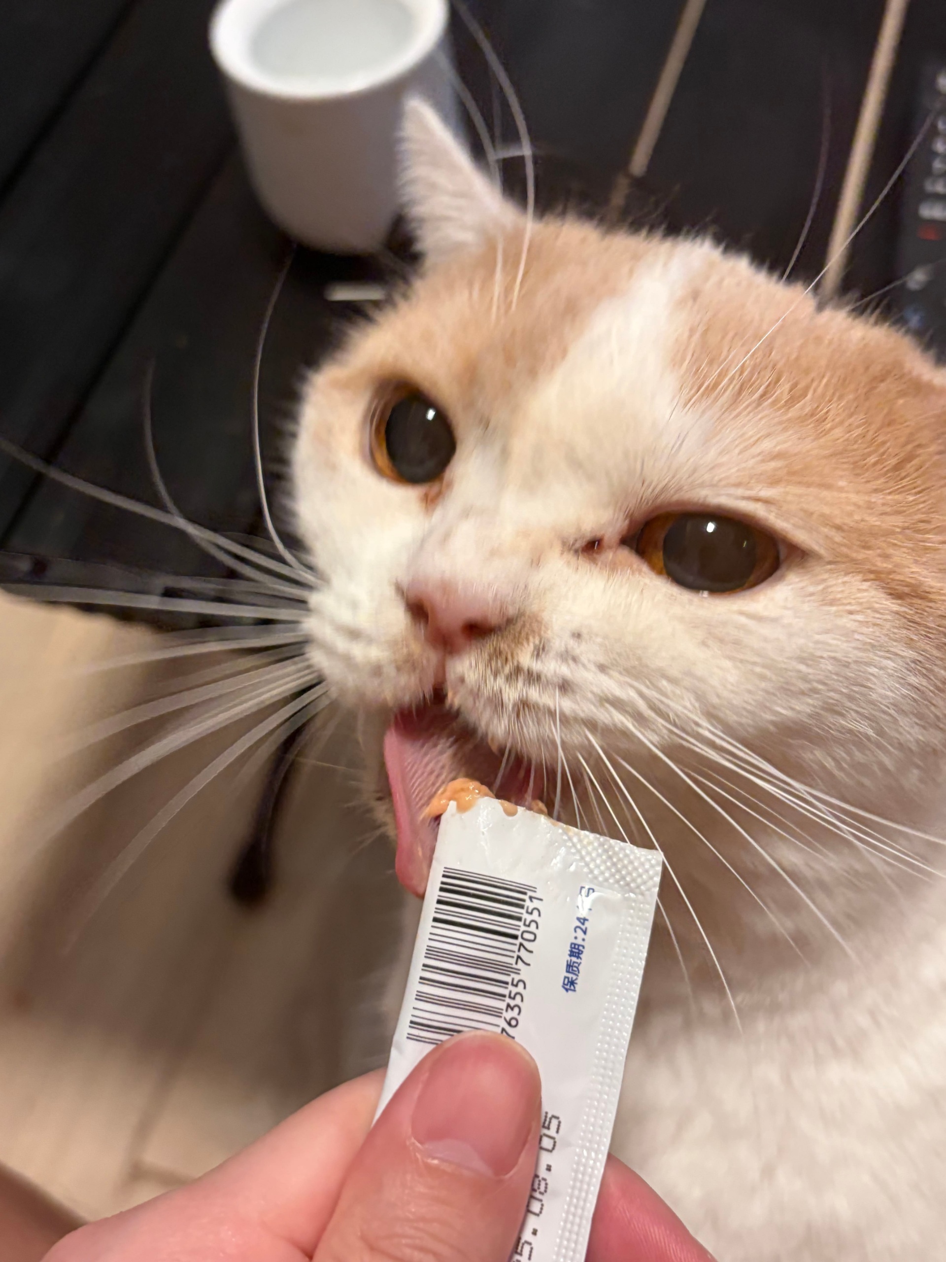 Source image for Intense Cat Licking Treat Packet with Wide Eyes